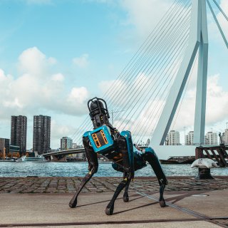 Op pad met robothond Spot, modelwerknemer van Boston Dynamics, om te zien wat hij kan